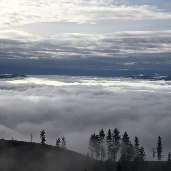 Meet your Posher, Hannah - Picture 3 of 4